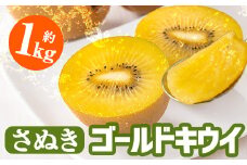 ＜先行予約！2025年10月中旬以降順次発送予定＞＜選べる容量＞香川県産 さぬきゴールドキウイ (約1kg) 【man063・man180】【Aglio nero】