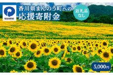 ＜返礼品なし＞ 香川県まんのう町への寄附 (5,000円) 【man900・man901・man902・man903・man904】【まんのう町】
