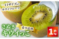 ＜先行予約！2025年11月中旬以降順次発送予定＞ さぬきキウイっこ (約1kg)【man179】【Aglio nero】