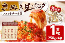 ＜容量が選べる＞さぬき生パスタ (フェットチーネ) (1kg) パスタ スパゲッティ スパゲティ デュラムセモリナ コシ もちもち さぬき 香川県 半生 小麦 麺 【man190】【こんぴらや販売】
