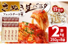 ＜容量が選べる＞さぬき生パスタ (フェットチーネ) (2kg) パスタ スパゲッティ スパゲティ デュラムセモリナ コシ もちもち さぬき 香川県 半生 小麦 麺 【man191】【こんぴらや販売】