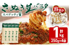 ＜容量が選べる＞さぬき生パスタ (スパゲッティ) (1kg) パスタ スパゲティ デュラムセモリナ コシ もちもち さぬき 香川県 半生 小麦 麺 【man193】【こんぴらや販売】