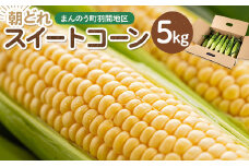 ＜期間限定・数量限定！2025年6月中旬以降順次発送予定＞スイートコーン (約5kg) とうもろこし トウモロコシ コーン 朝採り 朝採れ 国産 とうきび 甘い 生でも美味しい 産地直送 新登場【man204】【Bettim farm】