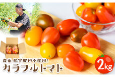 ＜期間限定！2024年7月上旬以降順次発送予定・数量限定＞カラフルトマト (約2kg) トマト ミニトマト プチトマト とまと 野菜 新鮮 国産 無農薬 化学肥料不使用 産地直送 新登場【man205】【Bettim farm】