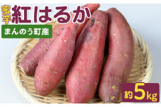 ＜期間限定！2024年12月上旬以降順次発送予定・数量限定＞＜選べる容量＞紅はるか(約5kg)【man233・man234】【Bettim farm】
