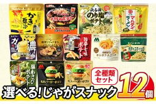 ＜訳あり セットが選べる！＞ お試し 訳アリ じゃがスナック 【アソート・全種類セット】 (12袋・1袋最大50g) 簡易梱包 お菓子 おかし スナック おつまみ モスバーガー テリヤキ わさび 七味 チーズ ガーリック バター オタフクソース 食べ比べ 送料無料 常温保存 【man227-A】【味源】