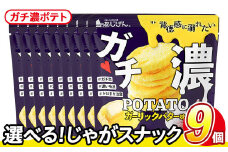 ＜訳あり・種類が選べる！＞  訳アリ じゃがスナック ガチ濃ポテト (9袋×43g) 簡易梱包 お菓子 おかし スナック おつまみ ポテト ガーリック バター ガーリックバター 濃い 送料無料 常温保存 【man218-G】【味源】