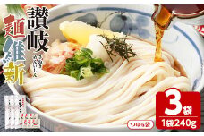 ＜容量が選べる＞ 半生『讃岐麺維新』(3袋×240g・つゆ6袋)【man284】【こんぴらや販売】
