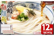 ＜容量が選べる＞ 半生『讃岐麺維新』(12袋×240g・つゆ18袋)【man287】【こんぴらや販売】