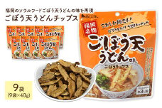 ＜容量が選べる＞ ごぼう天うどんチップス (9袋×40g) 【man313】【味源】