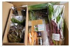 ＜週15セット限定＞国産アンチョビ＆松山市産野菜 セット おすすめ 人気 ギフト セット 愛媛県 松山市