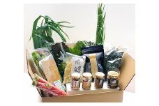 ＜週5セット限定＞アンチョビ・バーニャカウダ＆松山市産野菜セット | 野菜 旬の食材 旬の野菜 季節野菜 オイル漬け あんちょび じゃこ ちりめん干し しらす干し しらす 魚介 海鮮 おすすめ 人気 ギフト セット 愛媛県 松山市