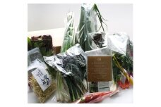 ＜毎週10セット限定！＞松山市産高級きくらげ＆旬野菜セット おすすめ 人気 ギフト セット 愛媛県 松山市