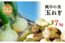 【6月から発送予定】 松山市北条産 風早の里 玉ねぎ 7kg | 玉葱 たまねぎ 野菜 やさい 野菜炒め 焼きそば カレー 味噌汁 料理 調理 お取り寄せ グルメ 人気 おすすめ 愛媛県 松山市