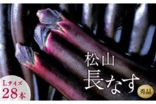 【先行予約】★7月中旬から発送★＜松山ブランド＞松山長なす 秀品 Lサイズ 28本入り　野菜 愛媛 ブランド なす 夏野菜