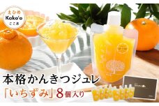 本格かんきつジュレ「いちずみ」 8個入り【化粧箱入り】  | ゼリー 柑橘ゼリー 柑橘ジュレ みかん スイーツ 温州みかん 清見 デコポン 美生柑 伊予柑 はるみ 愛媛県 松山市 ココオ Koko'o