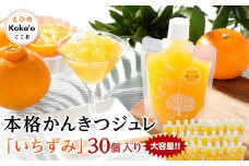 ＜大容量！＞本格かんきつジュレ「いちずみ」30個入り（簡易BOX入り） | ゼリー 柑橘ゼリー 柑橘ジュレ みかん スイーツ 温州みかん 清見 デコポン 美生柑 伊予柑 はるみ 愛媛県 松山市 ココオ Koko'o