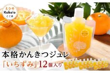 本格かんきつジュレ「いちずみ」12個入り（簡易BOX入り）| ゼリー 柑橘ゼリー 柑橘ジュレ みかん スイーツ 温州みかん 清見 デコポン 美生柑 伊予柑 はるみ 愛媛県 松山市 ココオ Koko'o