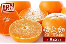 【2月中旬から発送】 せとか＜小玉＞ 約3kg