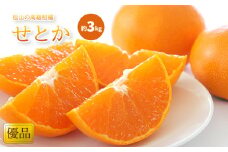 【2月中旬から発送】  せとか ＜優品＞ 約 3kg みかん 柑橘 優品 松山市産みかん 愛媛県 松山市 みかん ミカン 蜜柑 愛媛県産ミカン 松山市産蜜柑 みかん 優品みかん Ｋｏｋｏ’ｏのみかん 優品せとか せとか せとか約3kg