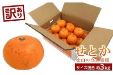【2月中旬から発送】 ＜訳あり＞ せとか 約3kg 愛媛産 愛媛県産せとか 国産 愛媛みかん 愛媛蜜柑 愛媛せとか みかん せとか せとか ふるさと納税せとか くだもの お取り寄せせとか 産地直送 訳ありせとか 数量限定せとか 人気 おすすめ 愛媛県 松山市 せとか3kg 送料無料 家庭用せとか 訳ありせとか 愛媛県産せとか おすすめのせとか みかん 柑橘 訳あり品 家庭用 お取り寄せ せとか