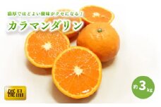 【2026年4月上旬から発送予定】カラマンダリン＜優品＞約3kg （ 愛媛産 愛媛県産 国産 愛媛みかん 愛媛蜜柑 愛媛ミカン みかん ミカン mikan 蜜柑 柑橘 フルーツ 果物 くだもの お取り寄せ 産地直送 数量限定 人気 おすすめ 愛媛県 松山市 送料無料 ）
