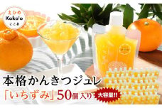 ＜大容量！＞本格かんきつジュレ「いちずみ」50個入り（簡易BOX入り） | ゼリー 柑橘ゼリー 柑橘ジュレ みかん スイーツ 温州みかん 清見 デコポン 美生柑 伊予柑 はるみ 愛媛県 松山市 ココオ Koko'o