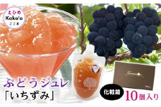 「いちずみ」ぶどうジュレ　１０個入り【化粧箱入り】  | ゼリー ぶどうゼリー ぶどうジュレ 葡萄ゼリー 葡萄ジュレ ブドウゼリー ブドウジュレ フルーツ スイーツ 愛媛県 松山市 ココオ Koko'o