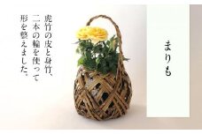 まりも 篭 花篭 花 籠 竹籠 かご ランプシェード インテリア 可愛い 愛媛県 松山市