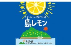 希望の島 レモン果汁 150ml 6本 | 果汁100％ 飲料 果汁飲料 レモン果汁100％ セット れもん レモン ドリンク ストレート レモンジュース レモンサワー れもんじゅーす れもんさわー 採れたて 皮ごと フルーツ 果物 お酒 サワー 炭酸 焼酎 ご当地 お土産 人気 おすすめ お取り寄せ グルメ ギフト 希望の島 中島 愛媛県中島 国産 愛媛県 松山市