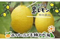 【10月中旬から発送予定】希望の島 レモン 3kg 愛媛 中島産 柑橘 レモン 国産レモン 中島レモン 松山市産レモン 島のレモン 檸檬 れもん 柑橘 希望の島