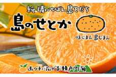【2026年3月上旬から発送予定】 希望の島 せとか 訳あり品 2kg |愛媛 松山 みかん ミカン mikan  果物 フルーツ 柑橘 果実 先行予約 中島産 柑橘 ジューシー 愛媛県 松山市