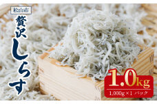 【大人気】 しらす 1kg ( 1kg × 1パック ) 冷凍 約15人前 しらす丼 丼ぶり 魚 さかな ご飯 ごはん 炒飯 チャーハン パスタ スパゲティ サラダ 卵焼き お取り寄せ グルメ 人気 おすすめ 愛媛県 松山市