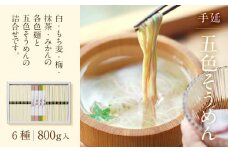 手延べ そうめん 素麺 800g ( 50g×16束 ) 五色そうめん 小分け カラフル 色付き 味付き 手延そうめん ソーメン 白そうめん 抹茶そうめん みかんそうめん 梅そうめん もち麦そうめん 常温 長期保存可 愛媛県 松山市 松山郷土の味 【 GO-S 】