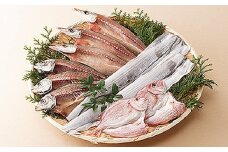 ＜マキノ海産＞瀬戸の一夜干し |  ひもの 干物 お取り寄せ 産地直送 ギフト 数量限定 人気 おすすめ 愛媛県 松山市