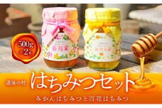 道後の杜 はちみつセット（500g×2本）