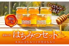 道後の杜 はちみつセット（300g×3本）ミニはちみつ付き