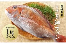 【※2024年1月～発送】愛媛県産養殖真鯛フィレ2枚（お頭付き冷凍）