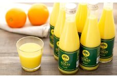 みかんジュース 100％ 宮内伊予柑 皮ごとストレート 300ml×6本 |みかんジュース みかんじゅーす ミカンジュース オレンジジュース おれんじじゅーす いよかんジュース 果汁100％ ジュース みかん ジュース 100％ ストレート 2025年2月初旬より発送 愛媛県 松山市