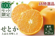 【先行受付】JAえひめ中央 ☆100セット限定☆JA特選品 せとか 赤秀 L～3L 約3kg 数量限定 おすすめ 人気