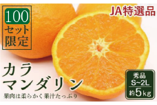 【先行受付】JAえひめ中央 ☆100セット限定☆JA特選品 カラマンダリン 秀品 S～2L 約5kg 数量限定 おすすめ 人気