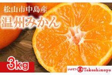 【2024年12月から発送】松山市 中島産 温州みかん 約3kg | 先行予約 蜜柑 ミカン みかん 甘い 柑橘  人気 お取り寄せ  期間 数量 限定 愛媛 松山