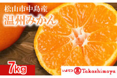 【2024年12月から発送】松山市 中島産 温州みかん 約7kg |  先行予約 蜜柑 ミカン みかん 甘い 柑橘  人気 お取り寄せ  期間 数量 限定 愛媛 松山