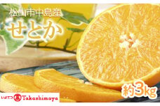 【2025年3月から発送】松山市 中島産 せとか 約3kg |  先行予約 蜜柑 ミカン みかん 甘い 柑橘  人気 お取り寄せ  期間 数量 限定 愛媛 松山