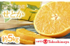 【2025年3月から発送】松山市 中島産 せとか 約5kg | 先行予約 高級 蜜柑 ミカン みかん 甘い 柑橘  人気 お取り寄せ  期間 数量 限定 愛媛 松山
