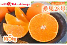 【2024年12月中旬から発送】松山市 中島産 愛果28号 約5kg | 先行予約 高級 蜜柑 ミカン みかん 甘い 柑橘  人気 お取り寄せ  期間 数量 限定 愛媛 松山