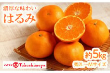 【2026年2月上旬から発送】はるみ（JAえひめ中央）約5kg　秀2L～Mサイズ （  愛媛産  国産 愛媛みかん 愛媛蜜柑 愛媛ミカン みかん ミカン mikan 蜜柑 柑橘 フルーツ 果物 くだもの お取り寄せ 産地直送 数量限定 人気 おすすめ  松山市 送料無料  ）