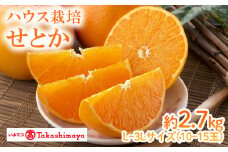 【2026年2月上旬から発送】 せとか ハウス JAえひめ中央 約2.7kg　3L～Lサイズ 10から15玉 （  セトカ みかん 蜜柑  柑橘 高級 果物 甘い フルーツ 松山市 愛媛県  ） 