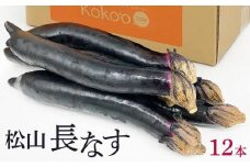 【6月下旬から発送予定】 松山 長なす　１２本入り