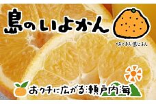 【2026年1月下旬から発送予定】 伊予柑 4kg 愛媛 中島産 いよかん みかん 柑橘 先行予約